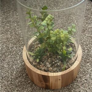 Cute plant decor!